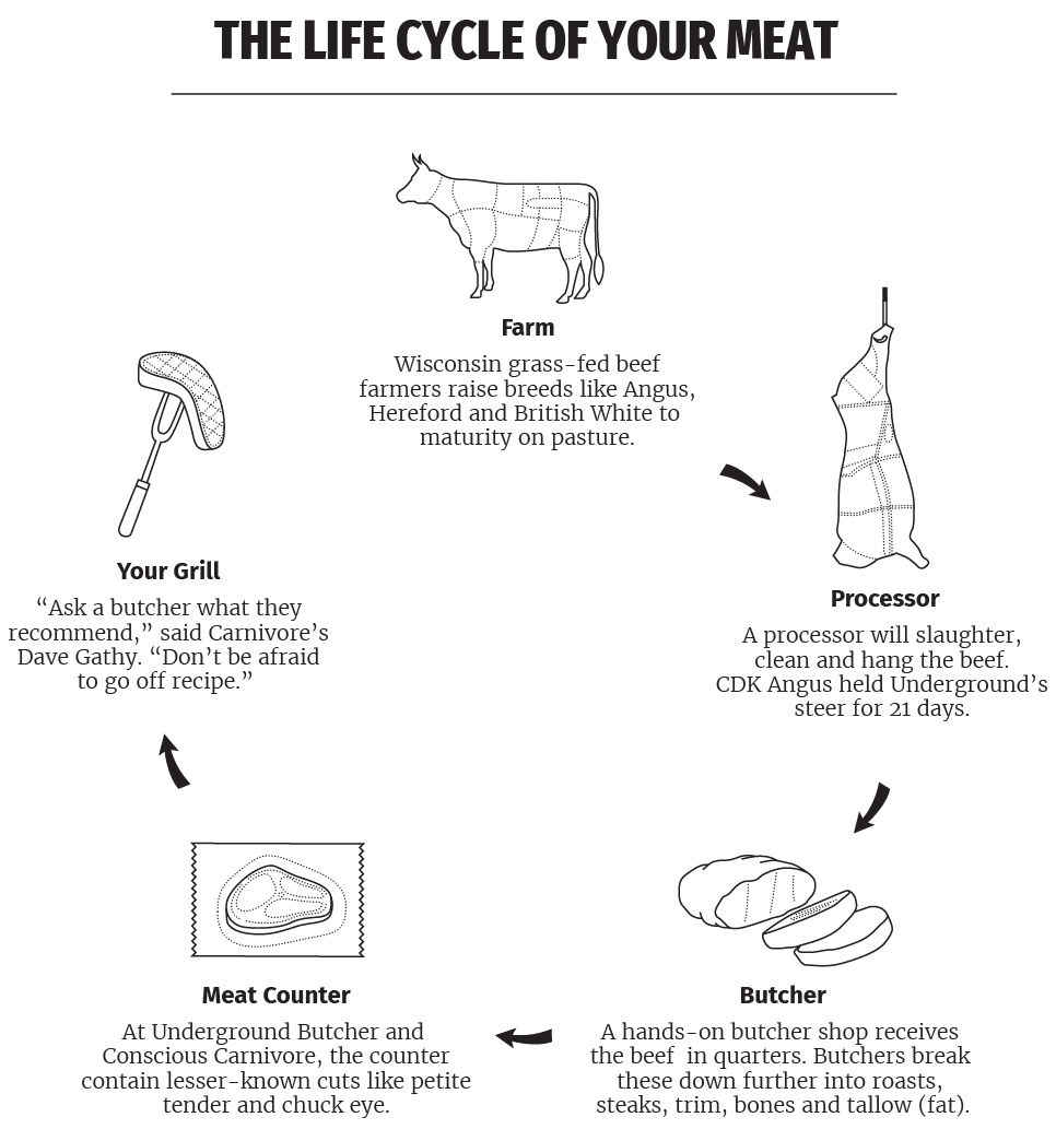 Meat life cycle graphic